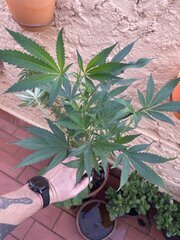 IMG_5765.jpeg