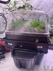 IMG_5792.jpeg