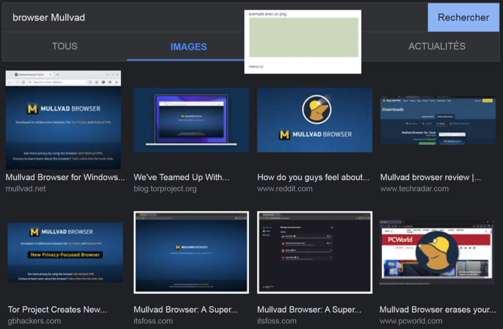 Browser MULLVAD.png