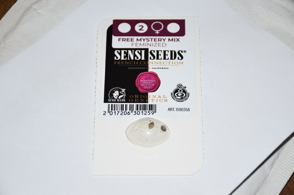 1180797713_surpriseseed.thumb.JPG.99e618bb7a94697dbd6e581ad9dcf9d6.JPG
