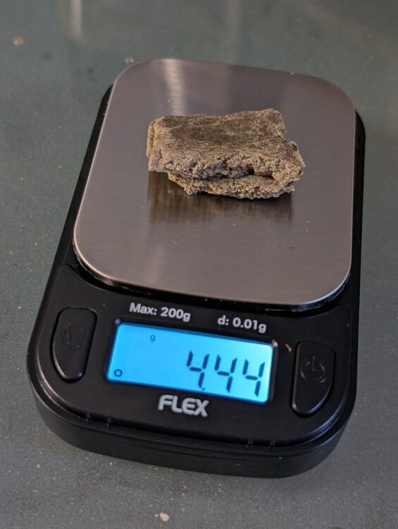 PXL_20251101_142516651.thumb.jpg.4b189617cd356f7aa6d8985aa09f53c5.jpg