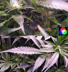 RGB light mix