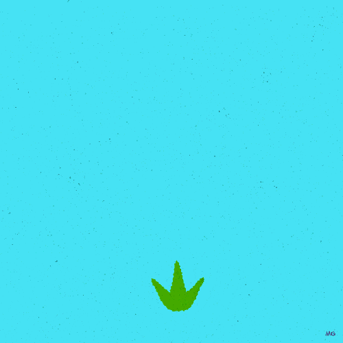 weedd.gif
