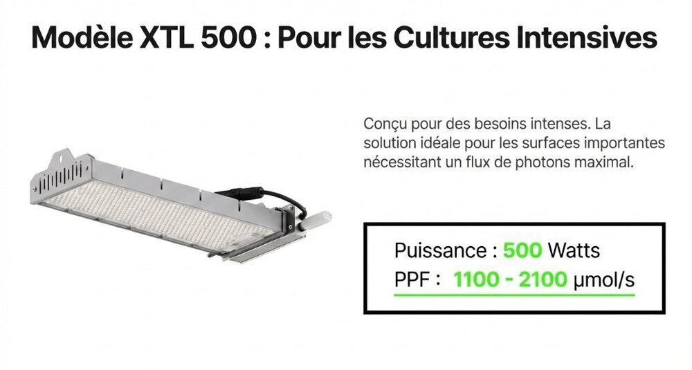 XTL 500.jpg
