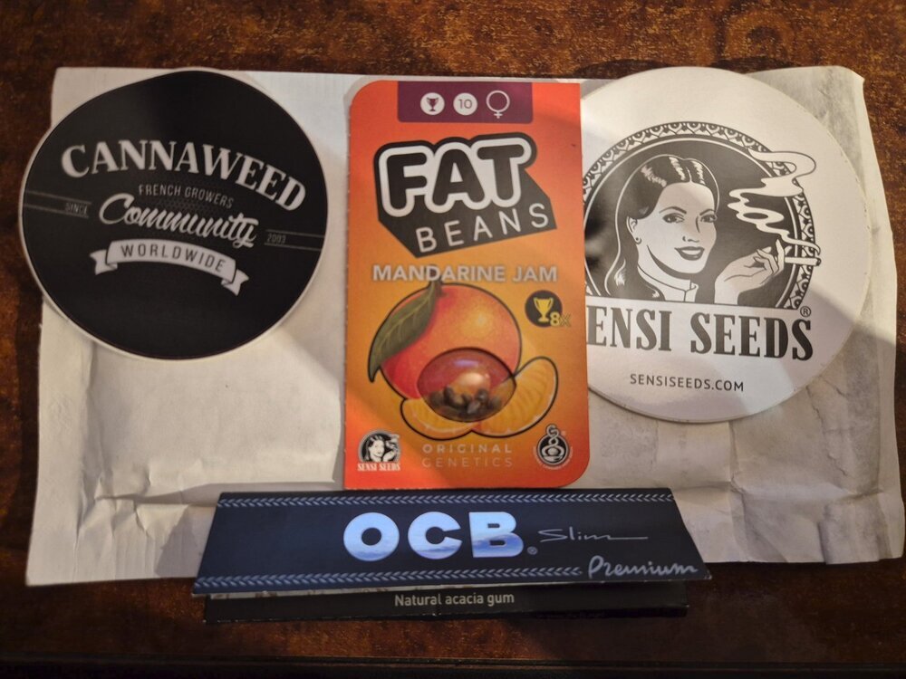 1600507665_FatBeansMandarineJam.thumb.jpg.a6feb6399338fc14d5c6f84d611eb887.jpg