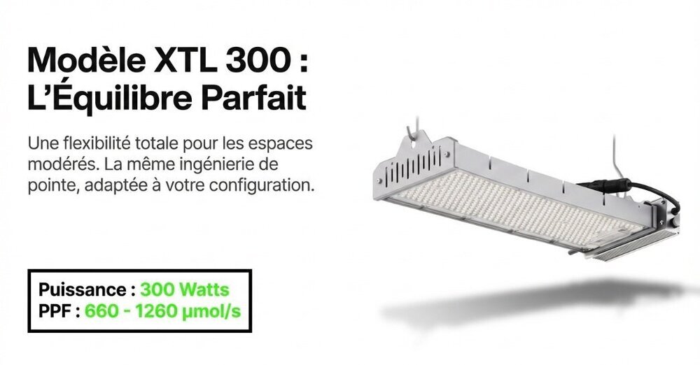 XTL 300.jpg