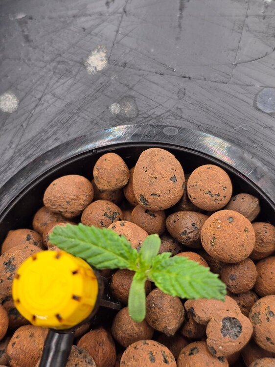 20260127_125022.jpg