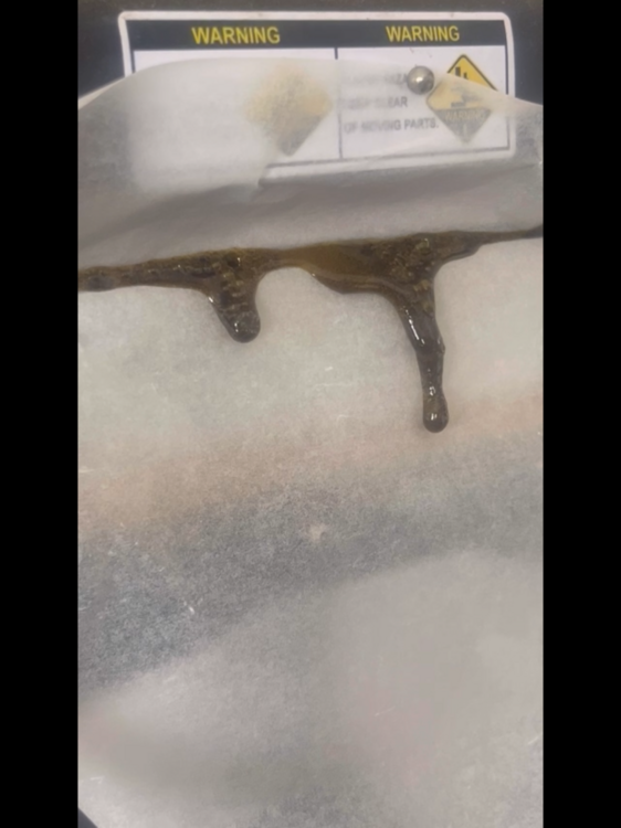 IMG_1469.thumb.png.bbc03219108eadae0c65927f919e2123.png