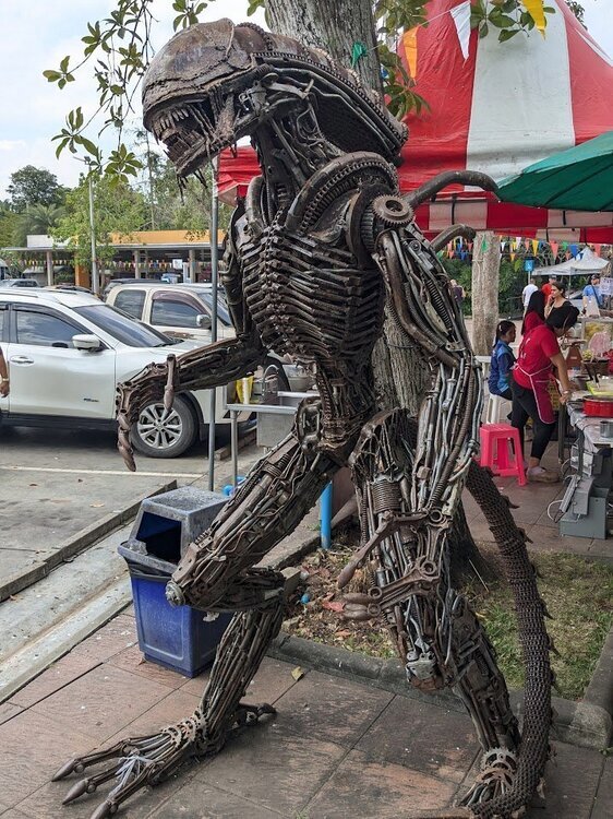 PXL_20250128_050214091.thumb.jpg.9f264adffe6099ea6d55e3aa1b127346.jpg