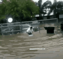 banjir-floods.gif.6c73b8831be1ce2f5b3710d5dc6387af.gif.bc1730ea6ed7f7808a411c899ce752ca.gif