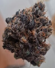 Eyeballz bud2.jpg