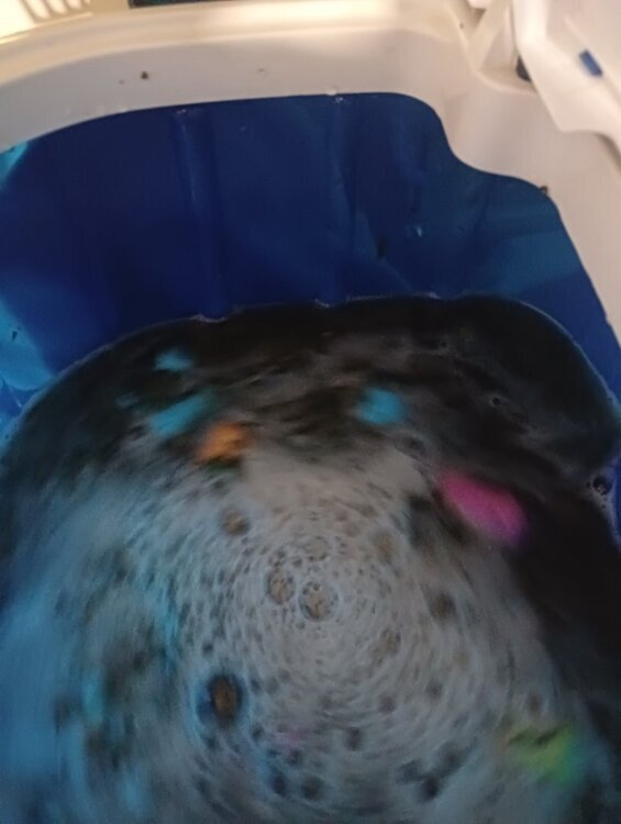 IMG20260206111522.jpg