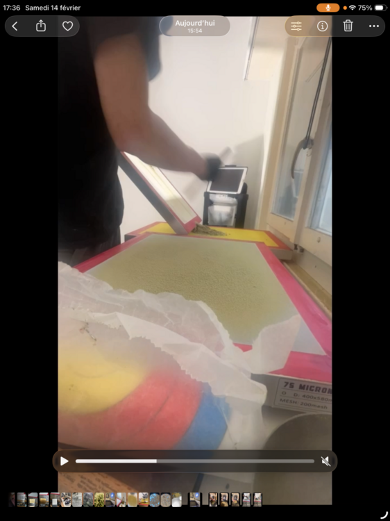 IMG_1587.thumb.png.df4514149861f2ce3e88321bd0f4b1e3.png