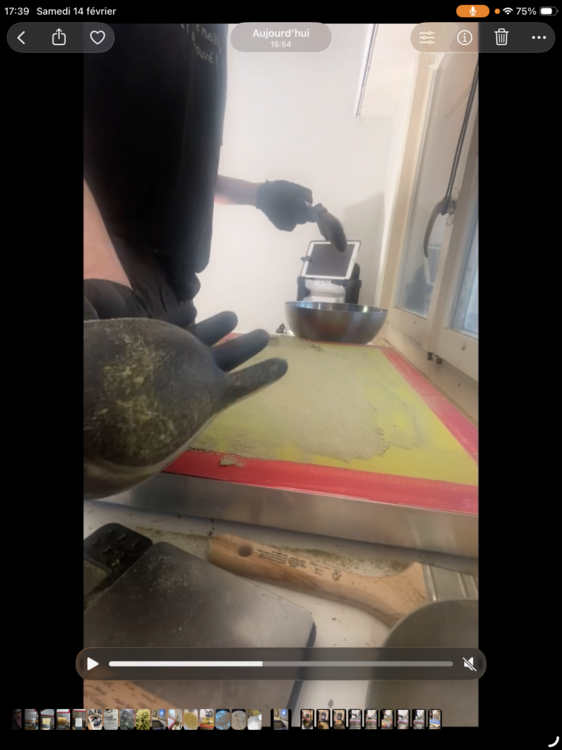 IMG_1591.thumb.png.22db06730312c8e95dcfcdd31f50022f.png