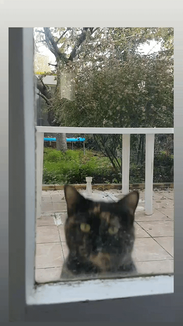 VID-20201124-WA0000_2.gif.fed6688b5374f1b2db97ae60e669e142.gif