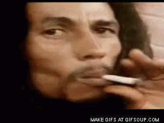 giphy.gif.f84164b877642a8403de6ff9e782ec17.gif