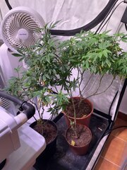 IMG_6742.jpeg