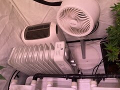 IMG_6743.jpeg