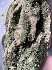 IMG_6744.jpeg