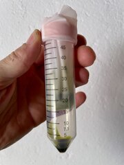 IMG_6753.jpeg