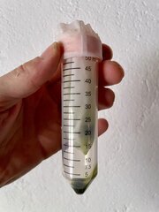 IMG_6754.jpeg