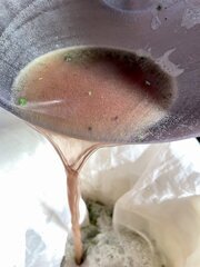 IMG_6762.jpeg