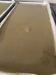IMG_6775.jpeg