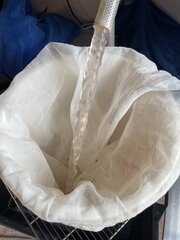 IMG_7262.jpeg