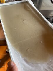 IMG_7264.jpeg