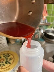 IMG_7289.jpeg