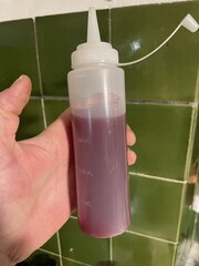 IMG_7290.jpeg