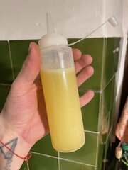 IMG_7407.jpeg