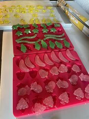 IMG_7420.jpeg