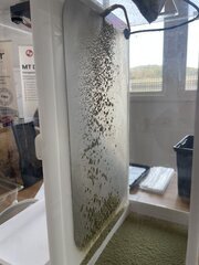 IMG_7477.jpeg