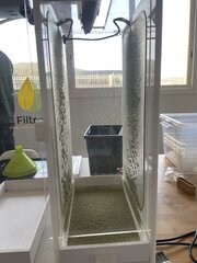 IMG_7479.jpeg