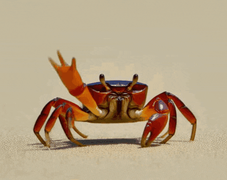 17734321636974927614132424659294.gif.78cd4590fb313a11c85f542d9dc1727a.gif