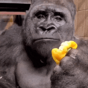 1773692384455396172332906398319.gif.a633f0a8c47efa66b66f051a5b6c732d.gif