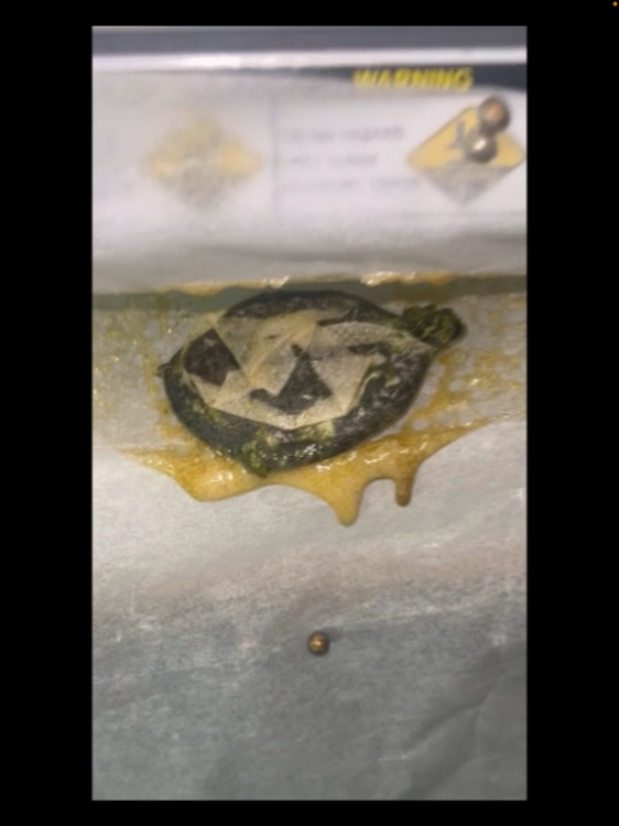IMG_1712.thumb.png.f72562ccea874e34f59940b9168ff9d3.png