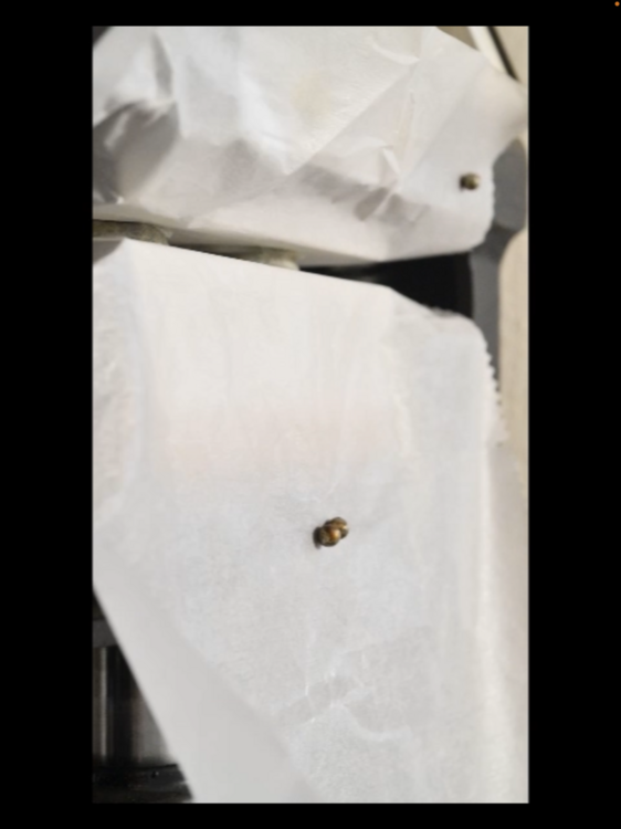 IMG_1718.thumb.png.be0bf855dedd52251feb70f102b1373c.png