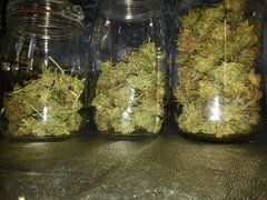 FROSTY'S LEMON PIE