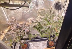 20260315_181929.jpg