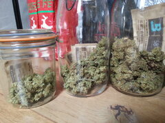 JACK EL FRUTERO
