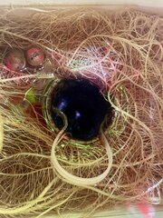 IMG_7675.jpeg