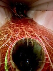 IMG_7680.jpeg