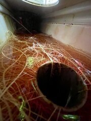 IMG_7681.jpeg
