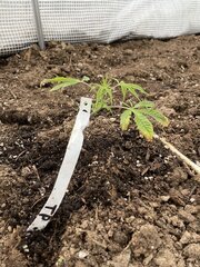 IMG_7744.jpeg