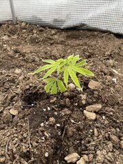IMG_7745.jpeg