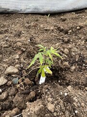 IMG_7747.jpeg