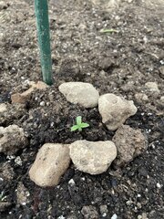 IMG_7749.jpeg
