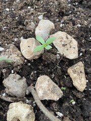 IMG_7755.jpeg